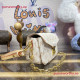 M46914 Pochette Metis East West