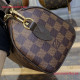 N40489 Speedy Bandouliere 20