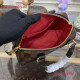N40489 Speedy Bandouliere 20