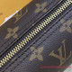 M51384 Papillon 20 Monogram Canvas