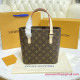 M51172 Vavin PM Monogram Canvas