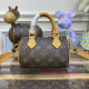 M81085 Nano Speedy Monogram Canvas