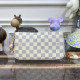 N41207 Pochette Accessories Damier Azur Canvas