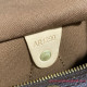 M41109 Speedy 25 Monogram Canvas