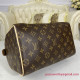 M41109 Speedy 25 Monogram Canvas