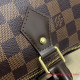 N41365 Speedy 25 Damier Ebène Canvas