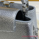N80239 Capucines Mini Handbag