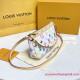 M92649 Louis Vuitton Multicolor Pochette Accessoires 