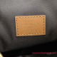M46311 Loop Hobo Monogram Canvas （Authentic Quality）