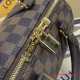 N40489 Speedy Bandoulière 20 (Authentic Quality)