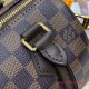N40489 Speedy Bandoulière 20 (Authentic Quality)