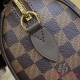 N40489 Speedy Bandoulière 20 (Authentic Quality)