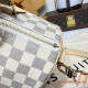N40592 Speedy Bandoulière 30 (Authentic Quality)