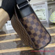 N41031 Louis Vuitton District PM Damier Ebene