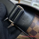 N41031 Louis Vuitton District PM Damier Ebene