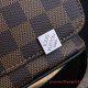 N41031 Louis Vuitton District PM Damier Ebene